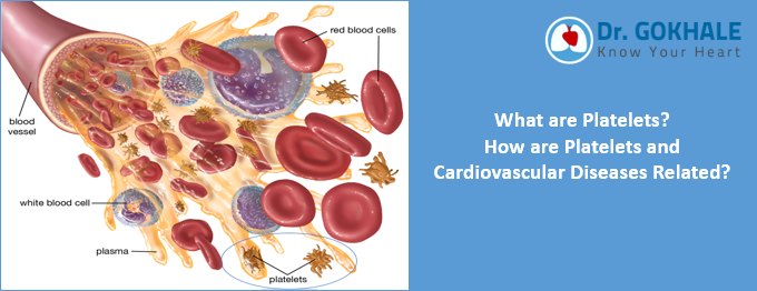 What are Platelets?  How are Platelets and Cardiovascular Diseases Related?