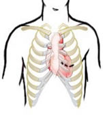 minimally invasive cardiothoracic surgery