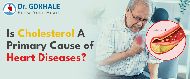 Is Cholesterol A Primary Cause of Heart Diseases? - Dr. Gokhale