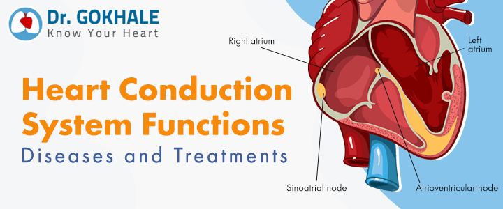 Heart Conduction System Functions Diseases and Treatments | Dr Gokhale