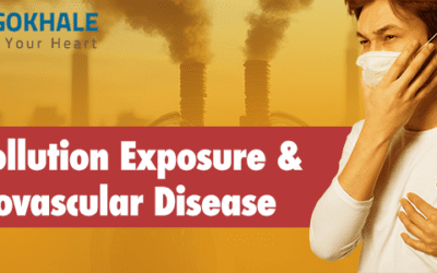 Air Pollution Exposure and Cardiovascular Disease