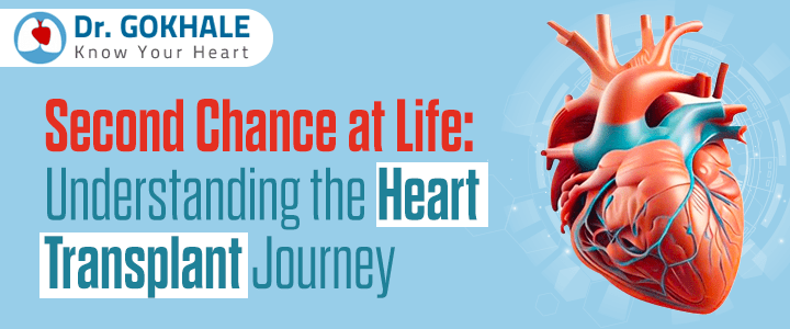 Second Chance at Life: Understanding the Heart Transplant Journey